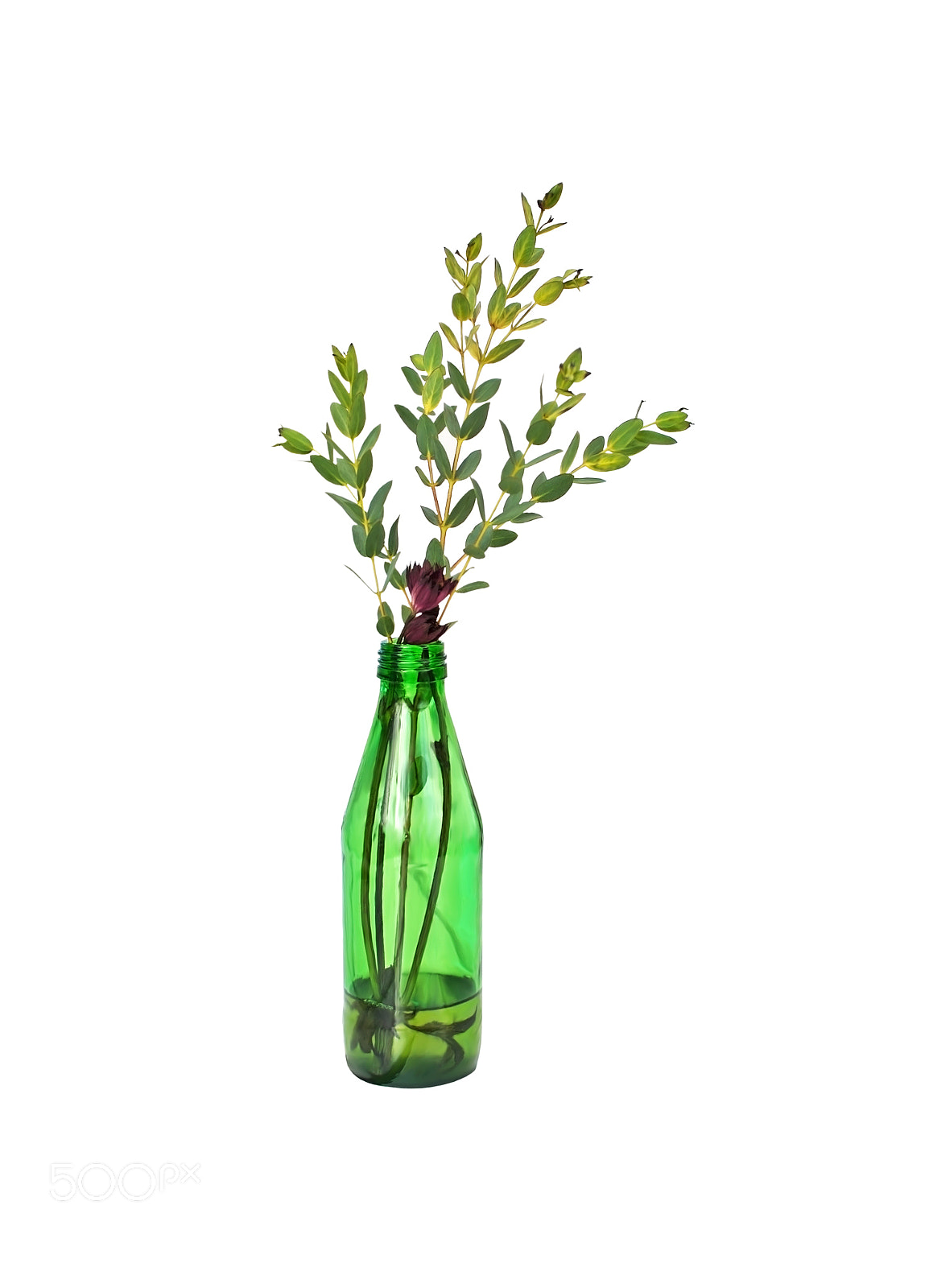 Nikon D7100 sample photo. Green glass bottle with photography
