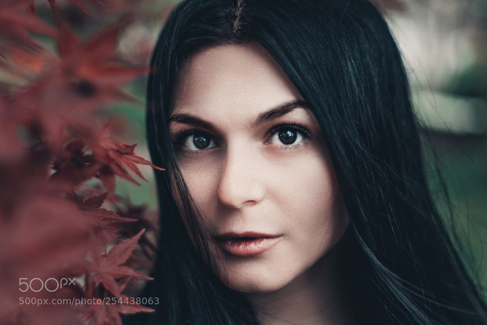 Canon EOS 5D Mark II sample photo. Ада photography
