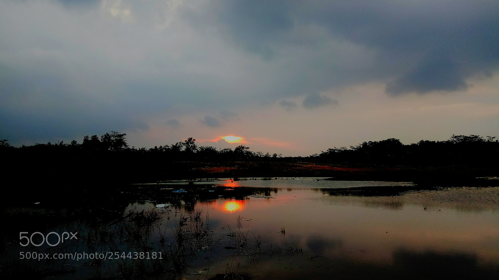 Xiaomi Redmi Note 4 sample photo. Untitled photography