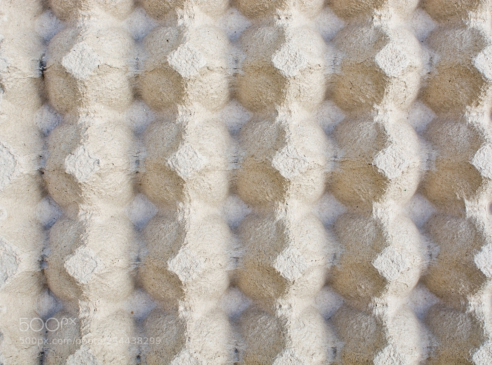 Nikon D7100 sample photo. Empty egg box photography
