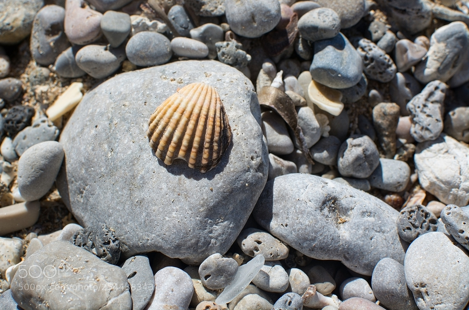 Nikon D7100 sample photo. Beach rocks closeup photography