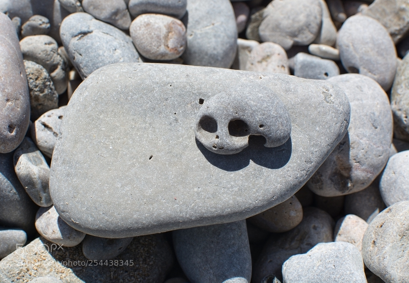 Nikon D7100 sample photo. Beach rocks closeup photography