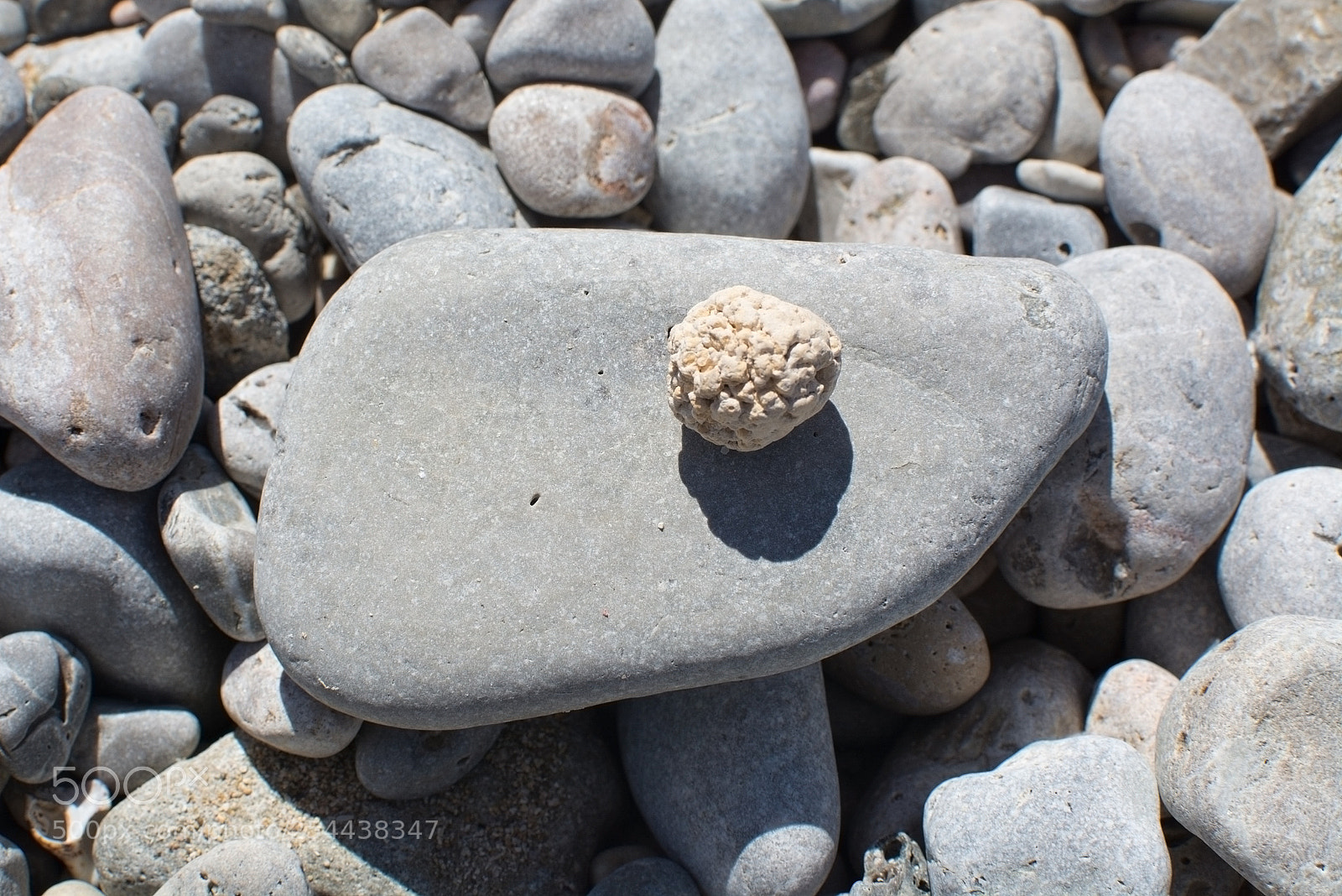 Nikon D7100 sample photo. Beach rocks closeup photography