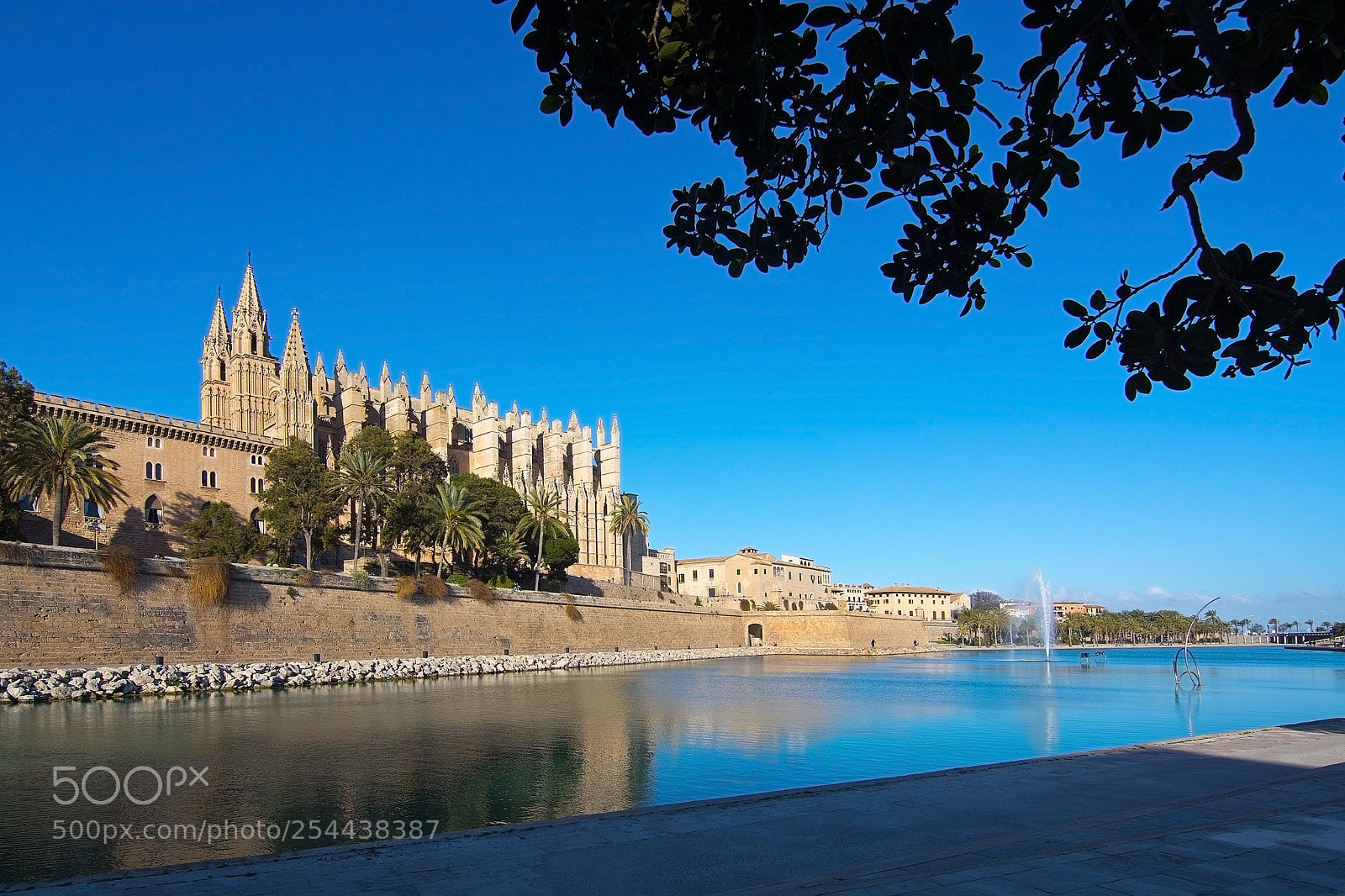 Nikon D7100 sample photo. La seu cathedral palma photography