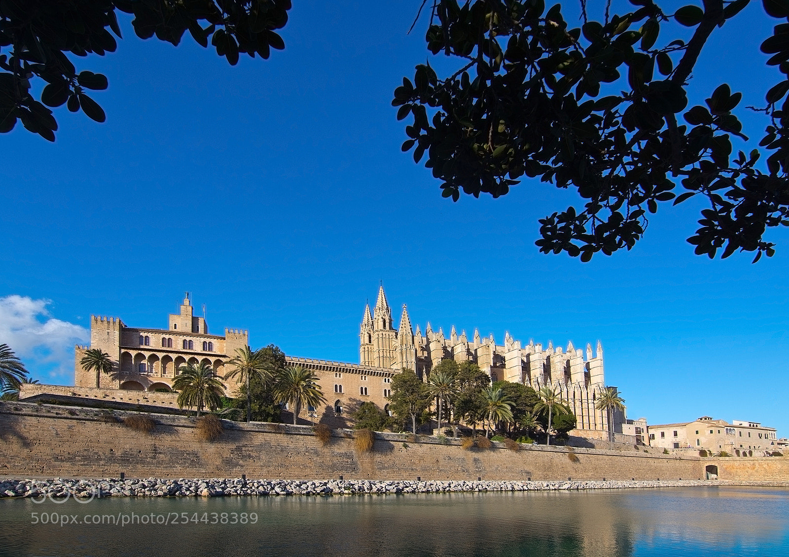 Nikon D7100 sample photo. La seu cathedral palma photography