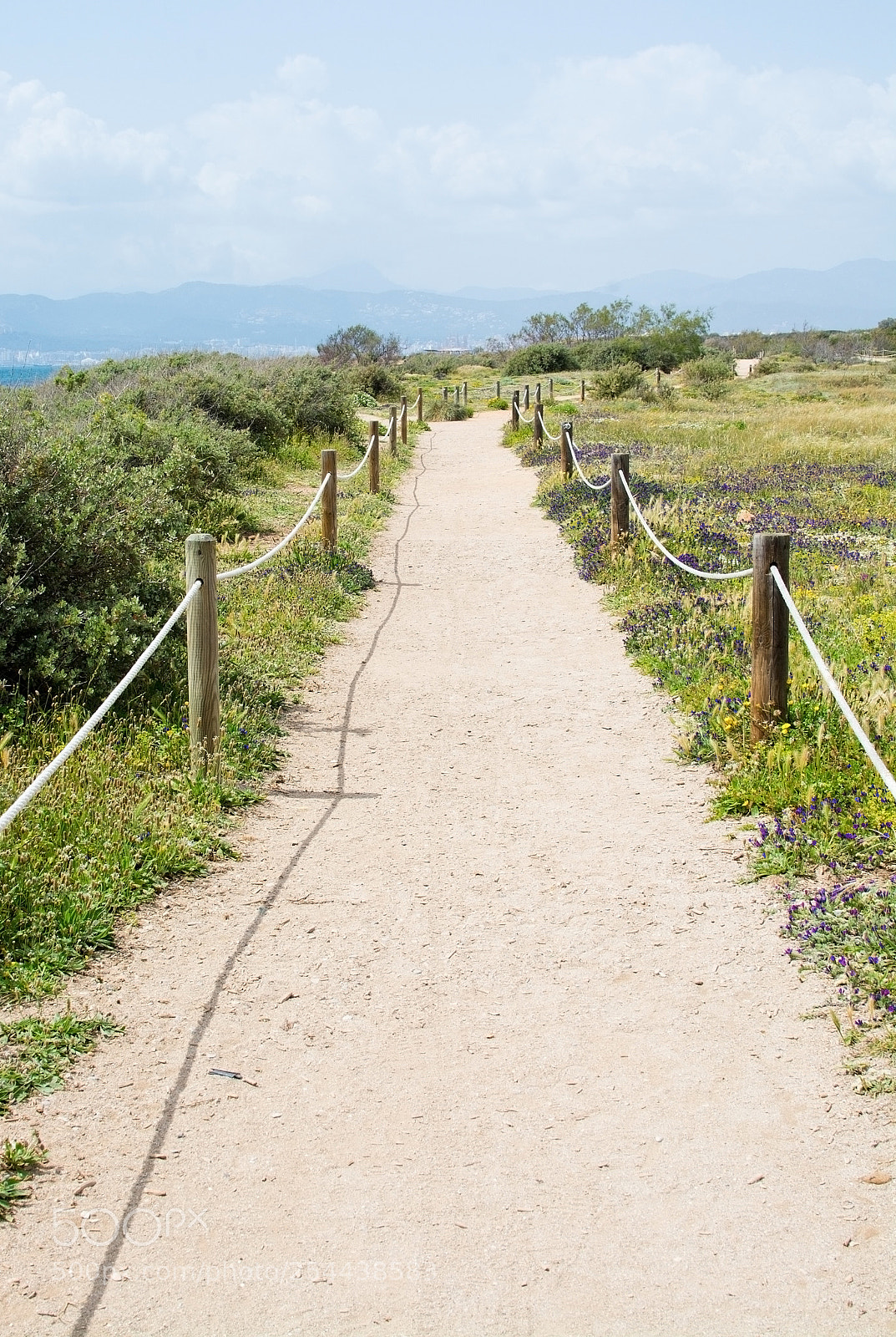Nikon D7100 sample photo. Es carnatge path and photography