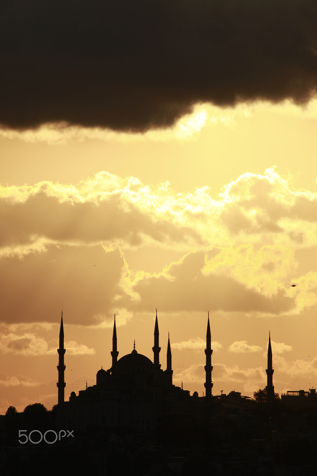 Canon EOS 5D Mark II + Canon EF 100-400mm F4.5-5.6L IS USM sample photo. Istanbul_2009 #5 photography