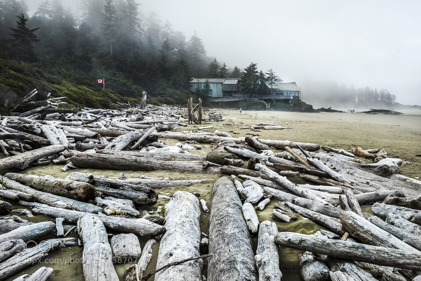 Nikon D800 sample photo. Canada 18 photography