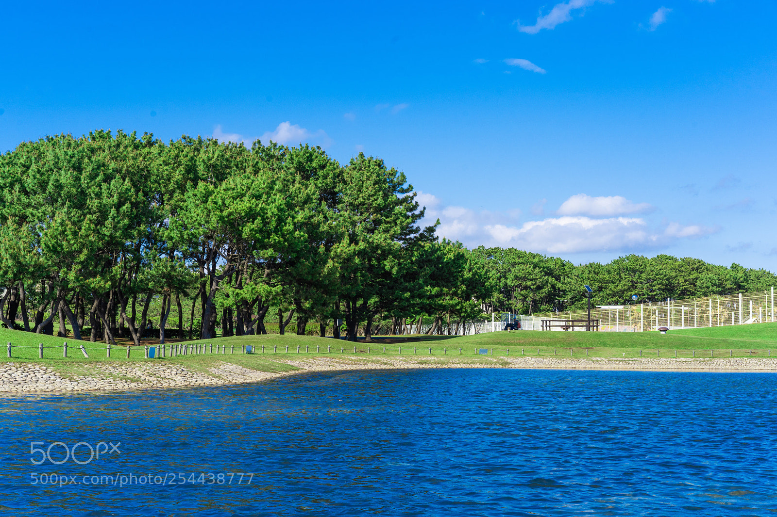 Sony a7 III sample photo. Sea side park in photography