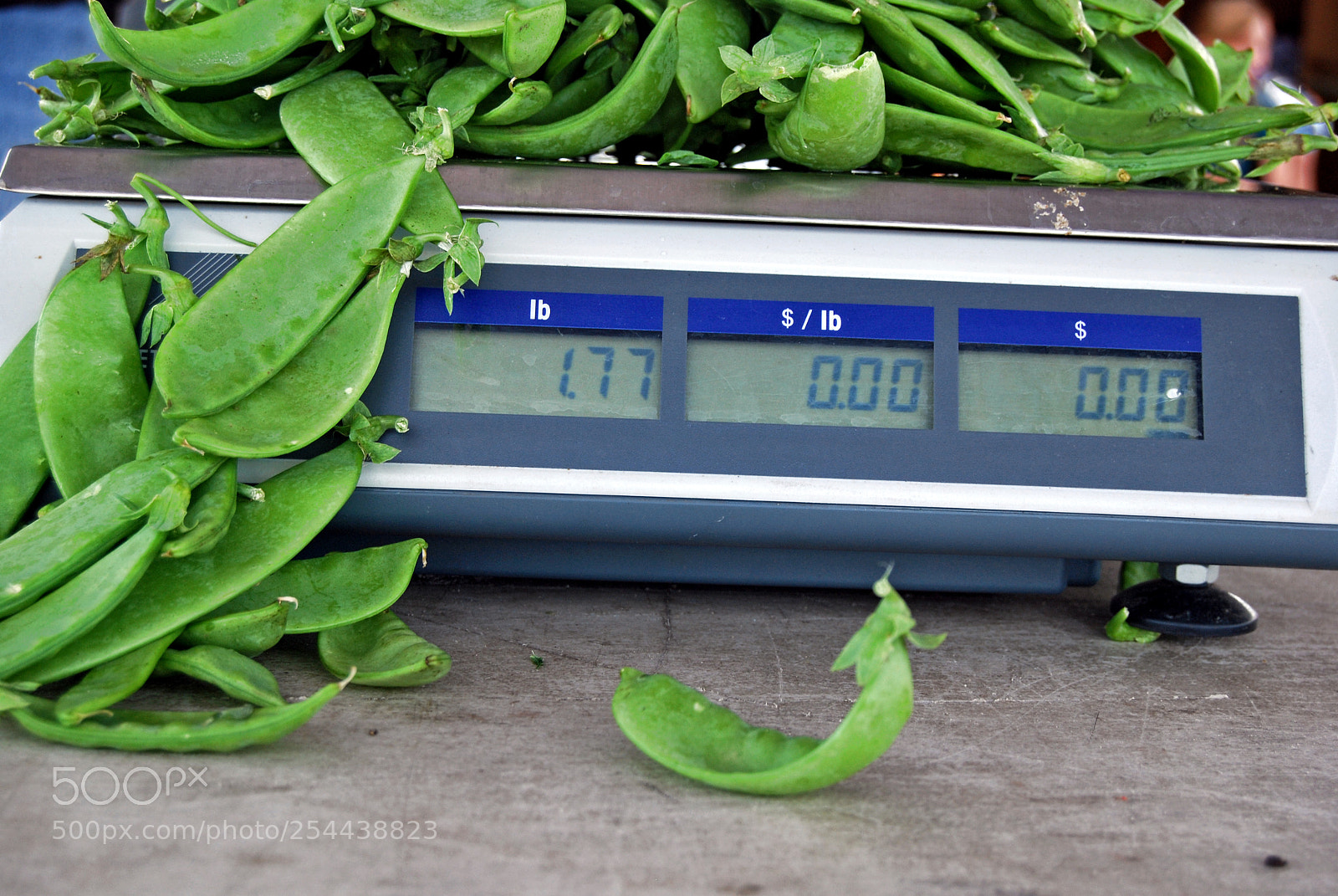 Nikon D80 sample photo. Sweet peas photography