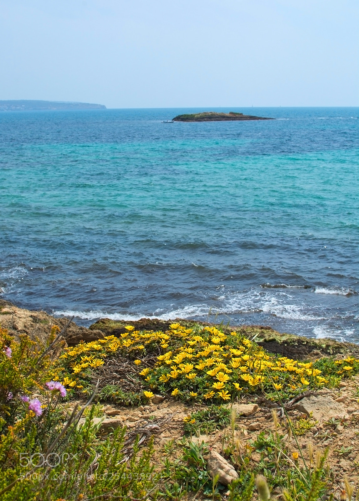 Nikon D7100 sample photo. Natural spring flowers by photography