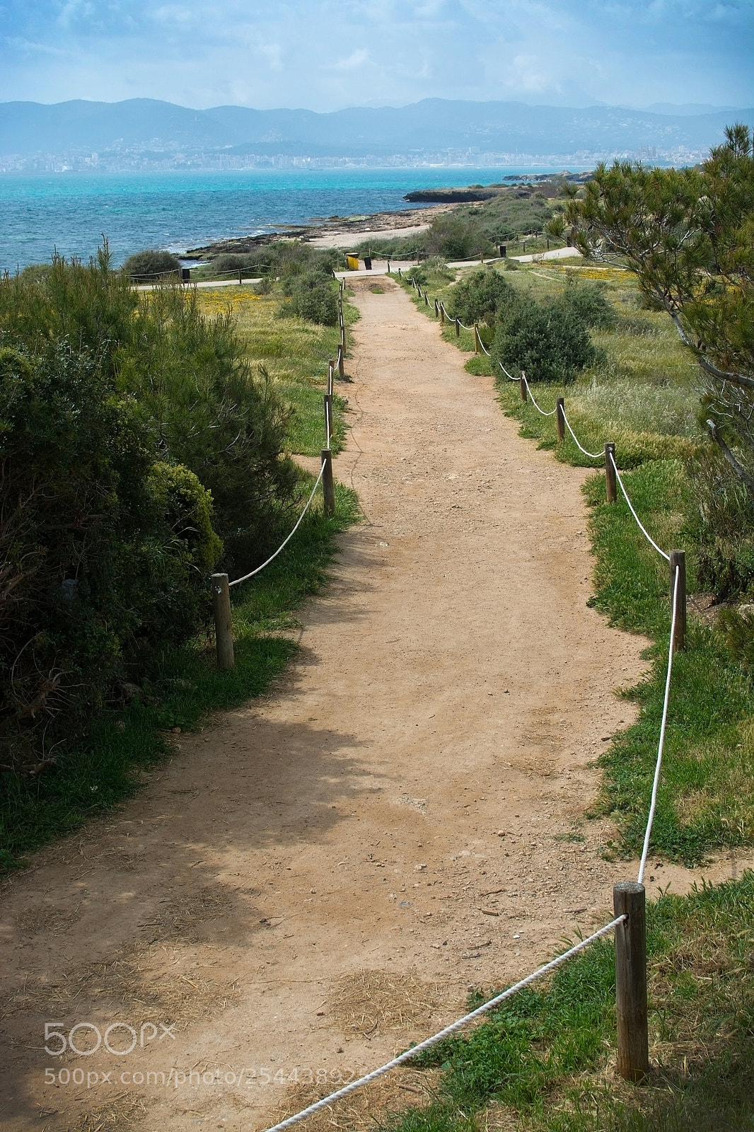 Nikon D7100 sample photo. Es carnatge path and photography