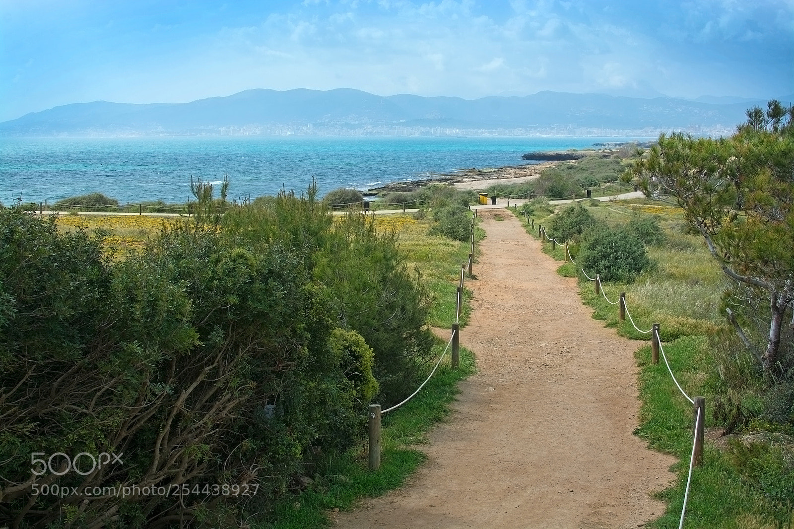 Nikon D7100 sample photo. Es carnatge path and photography