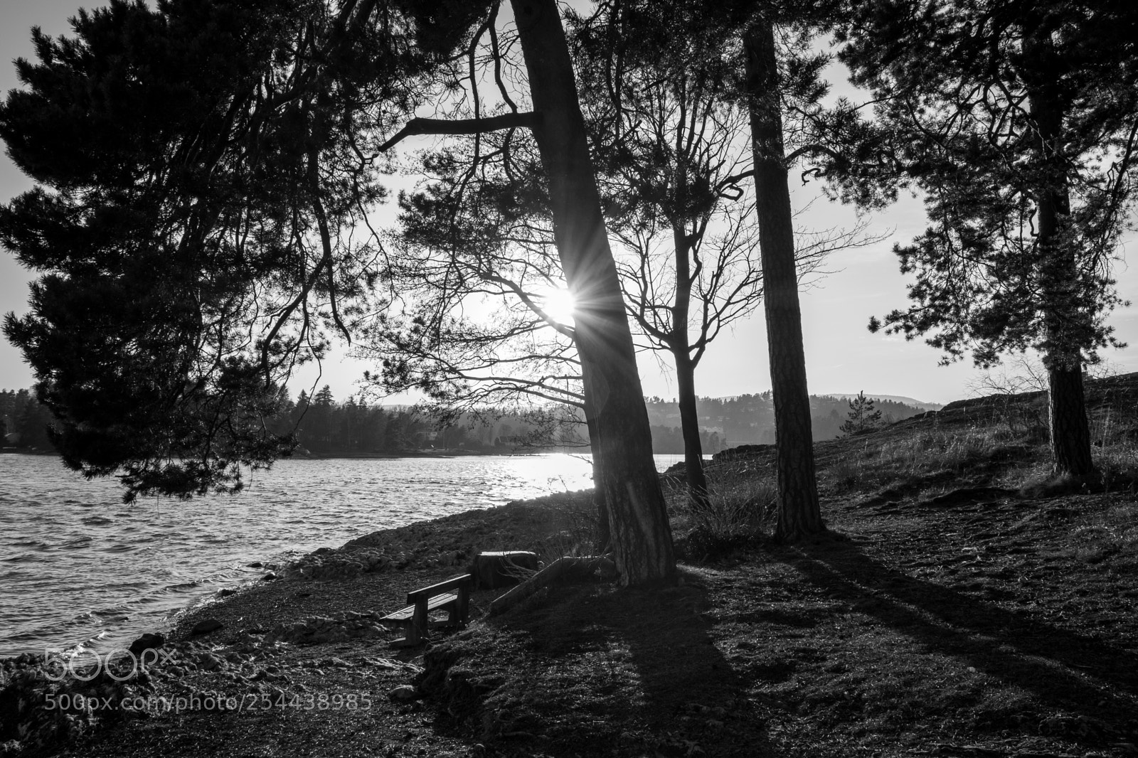 Fujifilm X-T20 sample photo. Untitled photography