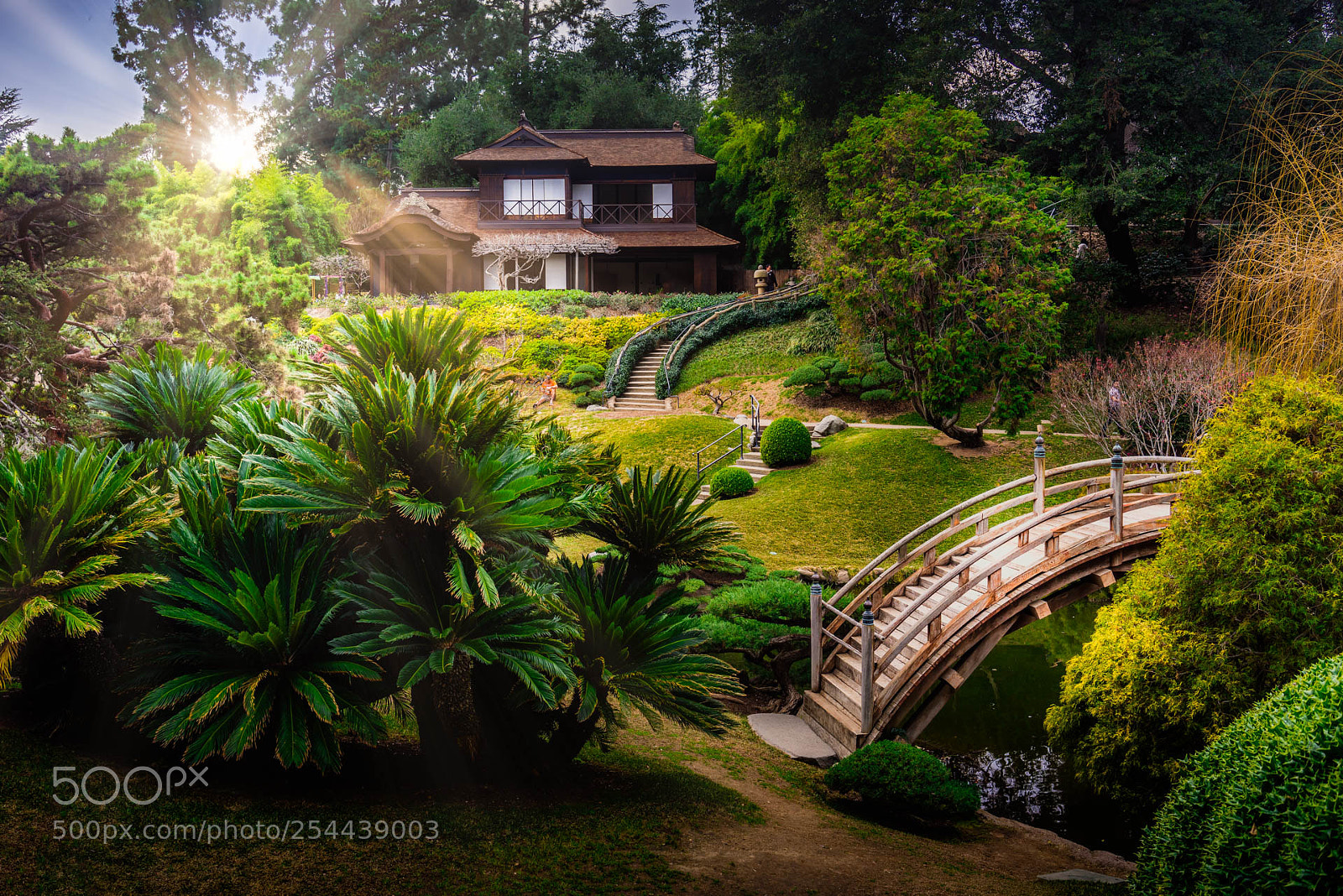 Sony a7R sample photo. Huntington garden photography