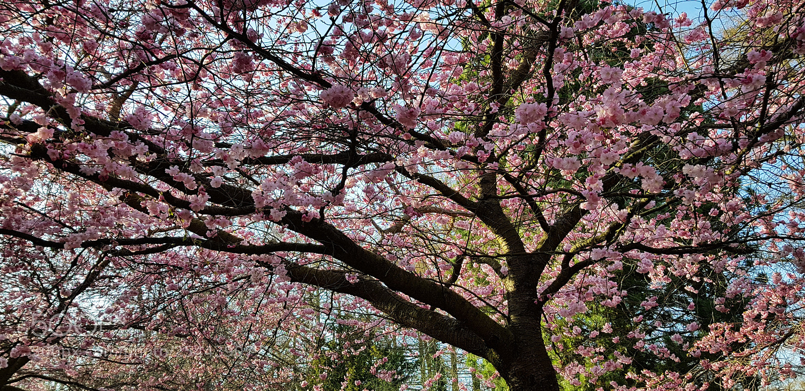 Samsung Galaxy S8+ sample photo. Untitled photography