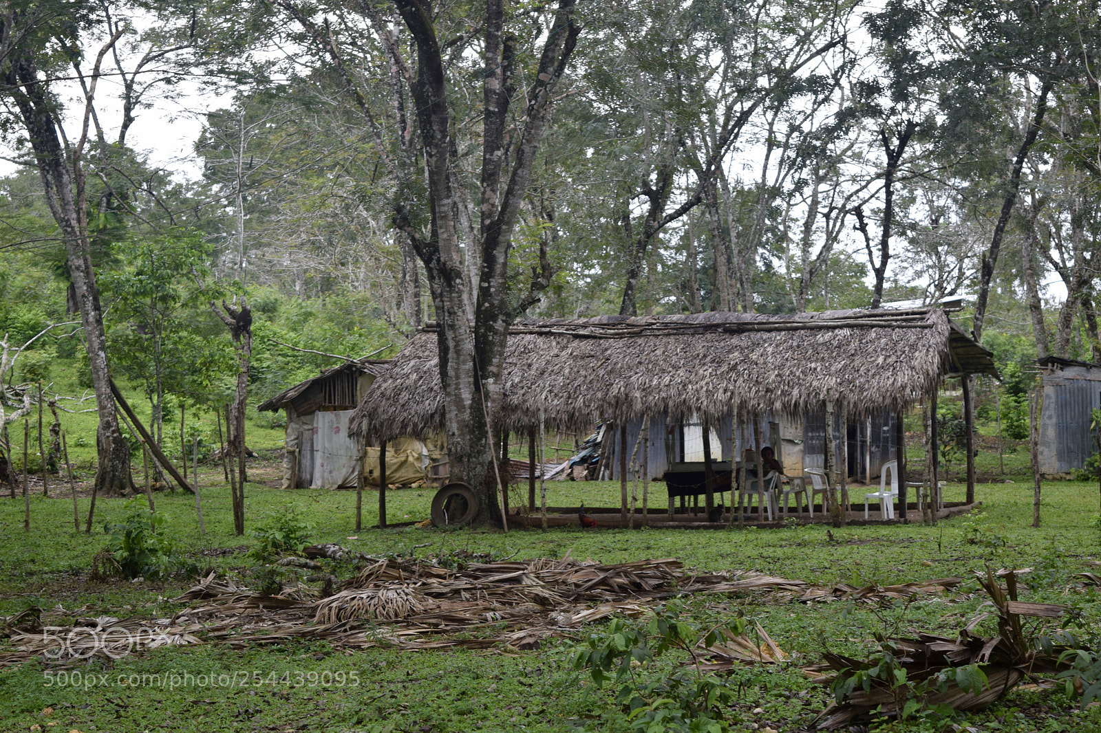 Nikon D3300 sample photo. A small hut hidden photography