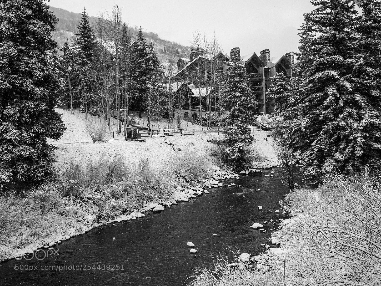 Olympus OM-D E-M10 II sample photo. Vail, co photography