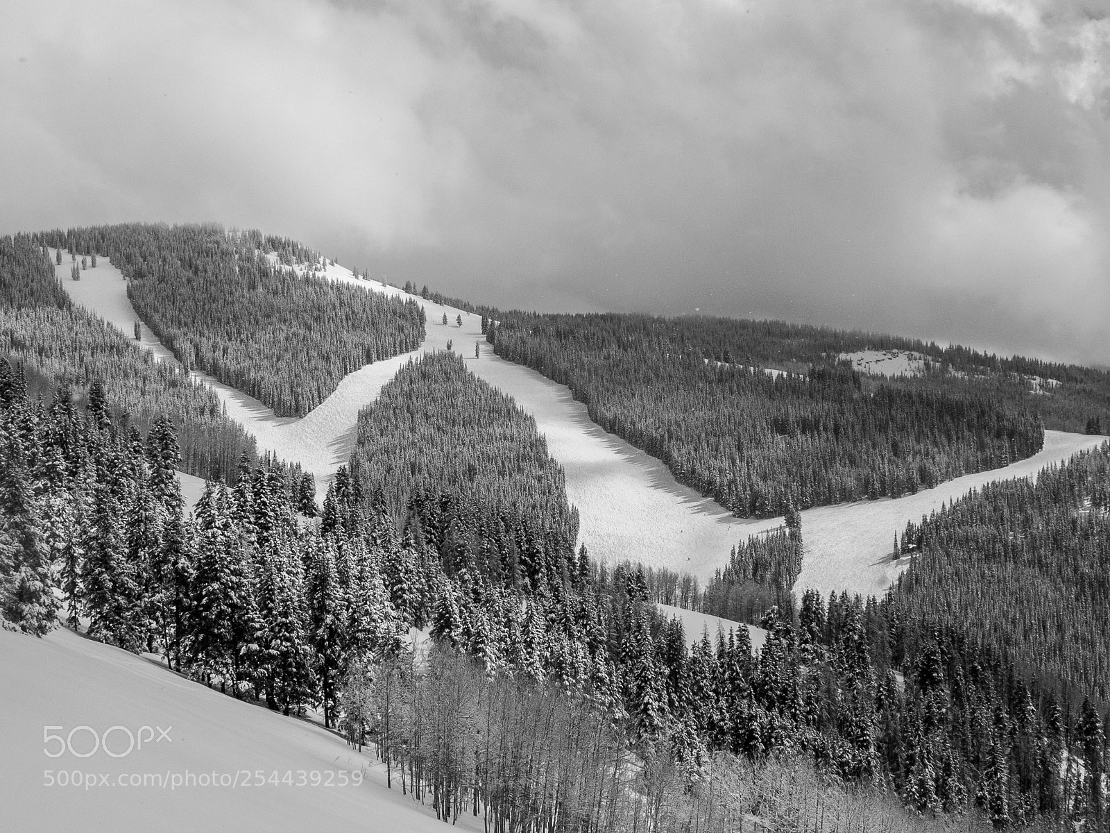 Olympus OM-D E-M10 II sample photo. Vail, co photography