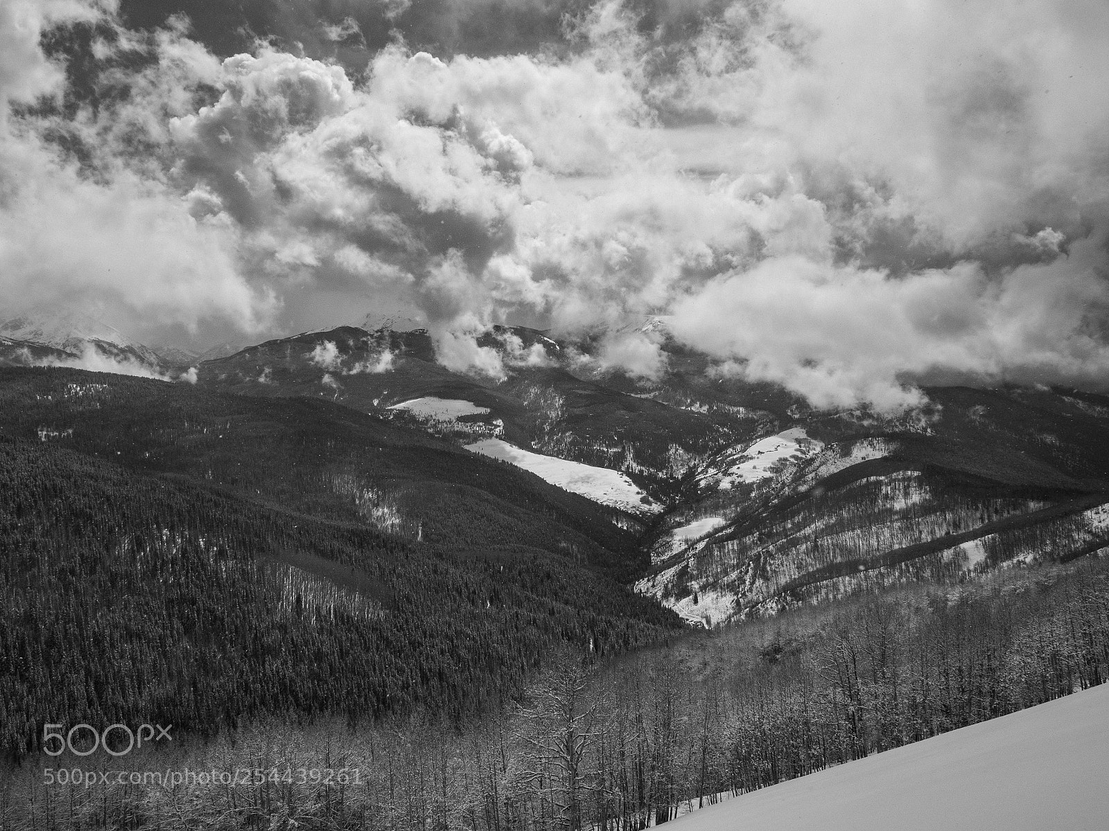 Olympus OM-D E-M10 II sample photo. Vail, co photography