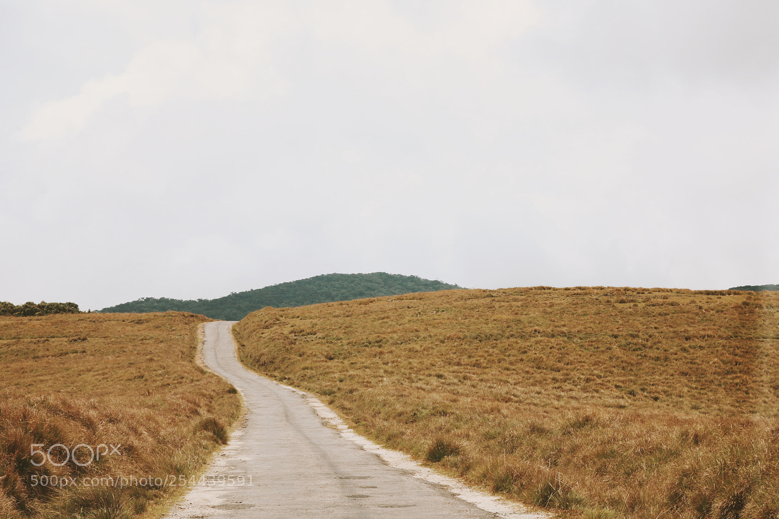 Canon EOS 750D (EOS Rebel T6i / EOS Kiss X8i) sample photo. The long road ahead photography