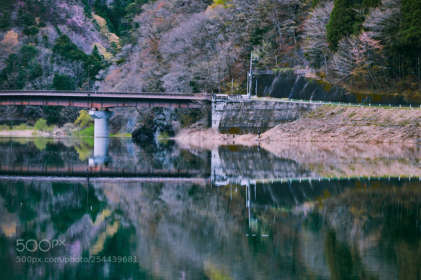 Nikon D850 sample photo. The bridge photography