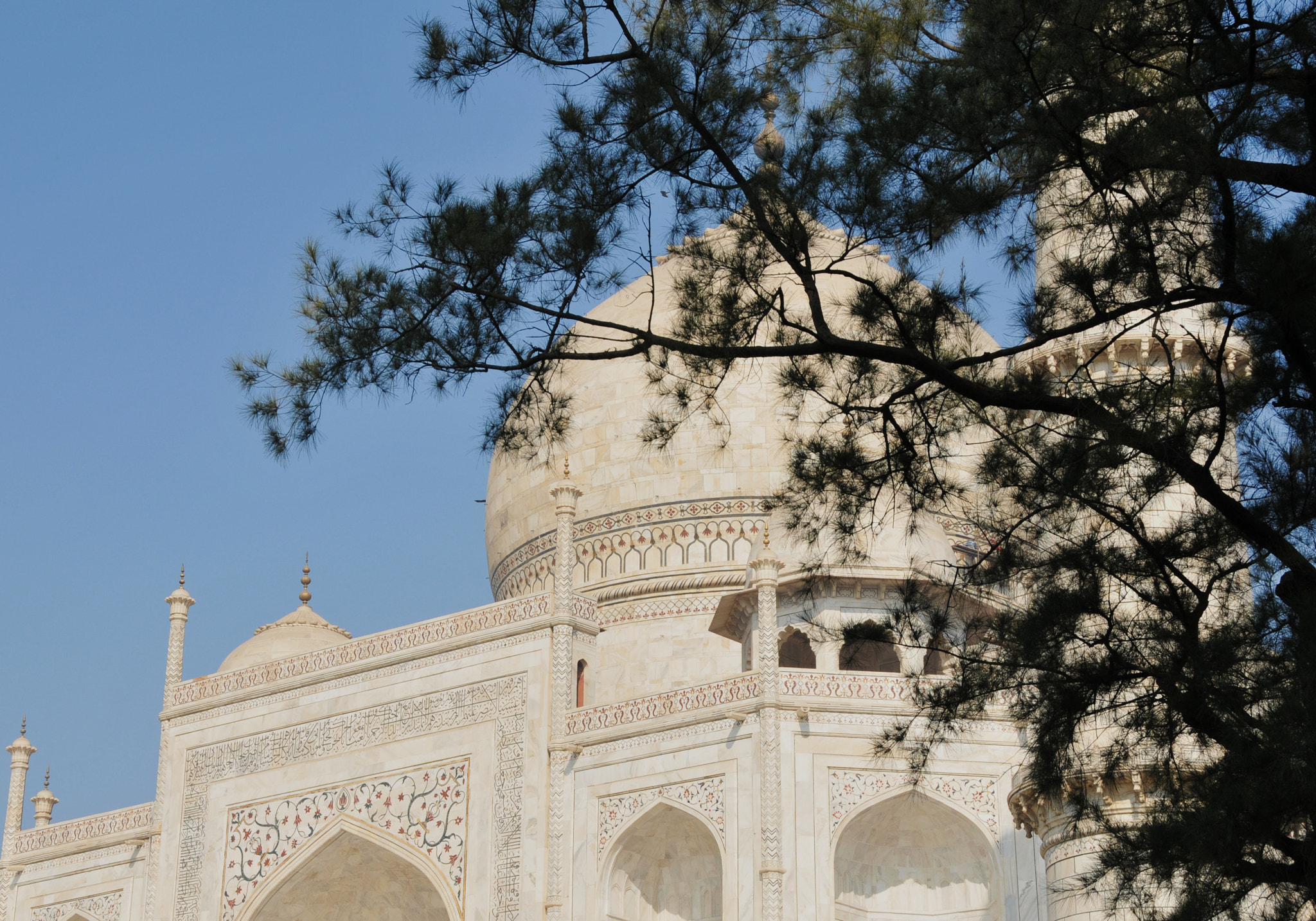 Nikon D300 sample photo. Taj mahal at agra photography