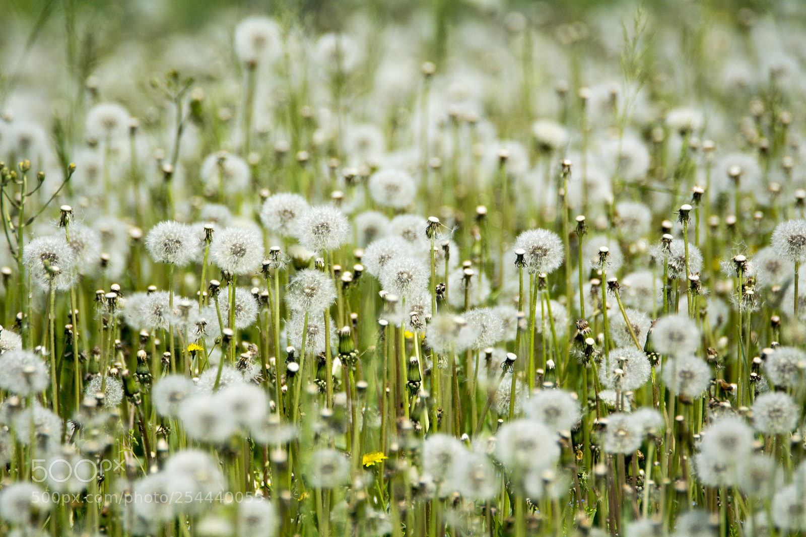 Nikon D7100 sample photo. A lot of photography