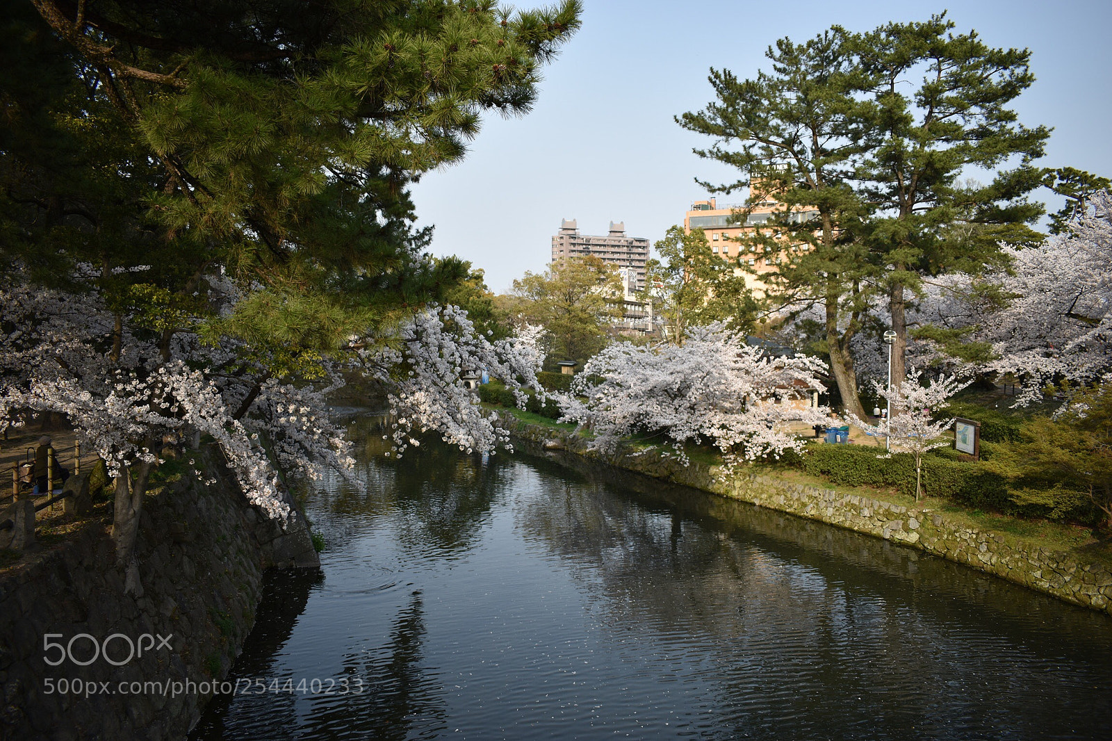 Nikon D5600 sample photo. Okazaki river photography