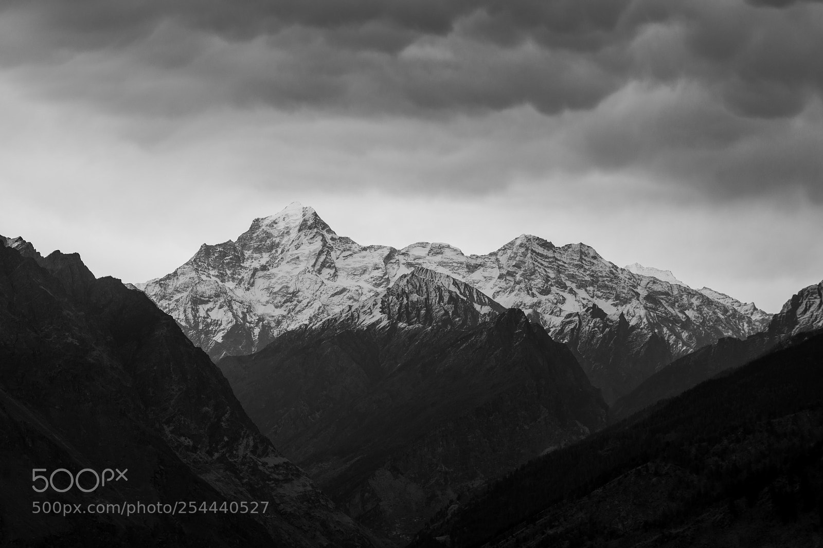 Nikon D7100 sample photo. Nature in monochrome photography