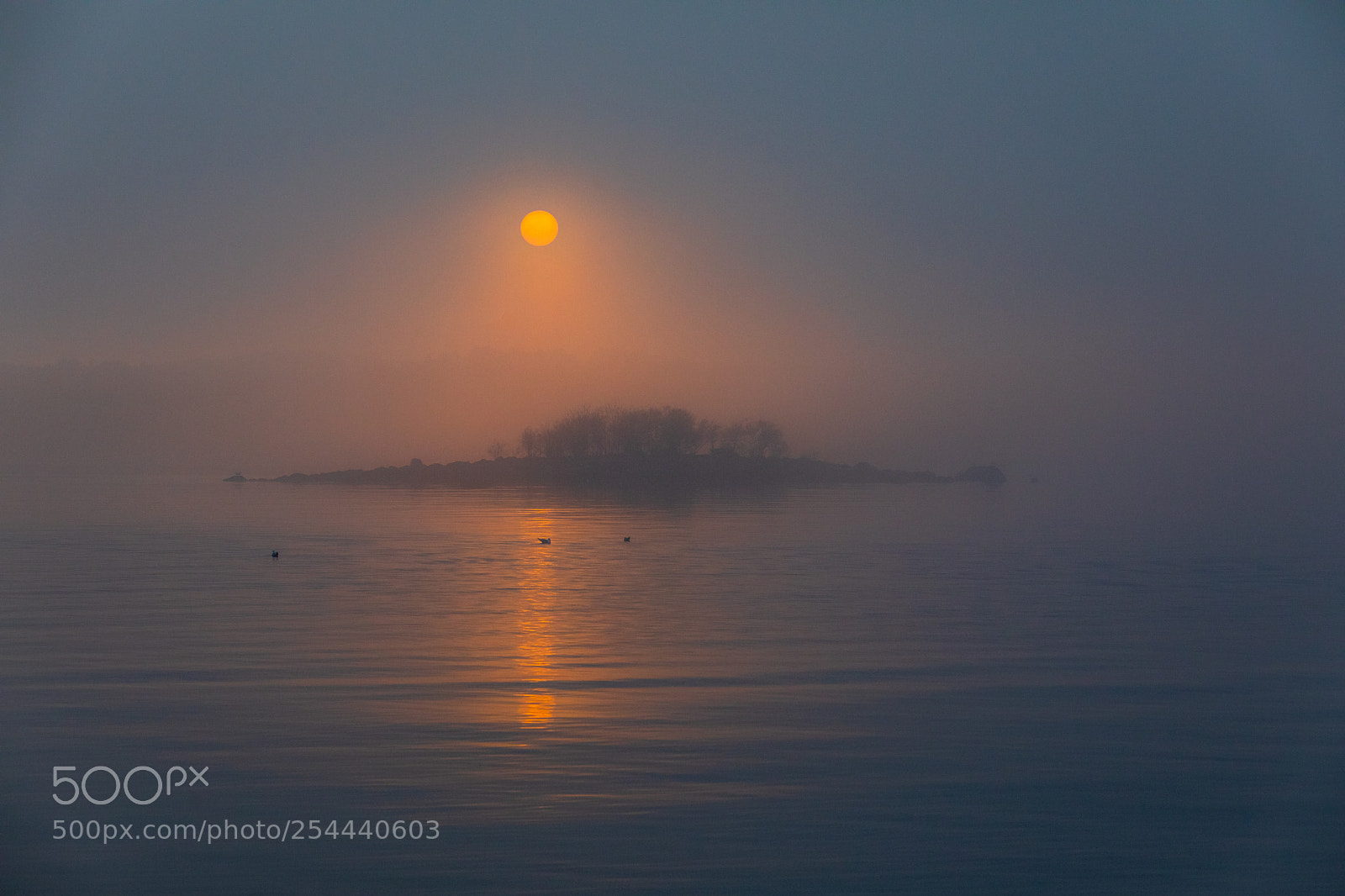 Canon EOS 5D Mark IV sample photo. Misty sunset photography