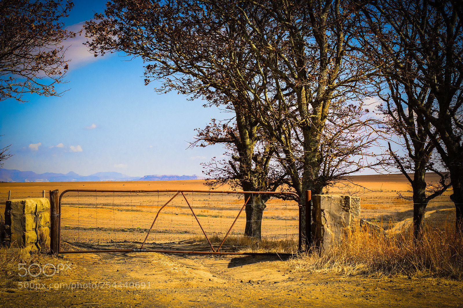 Canon EOS 7D Mark II sample photo. Farm gate photography