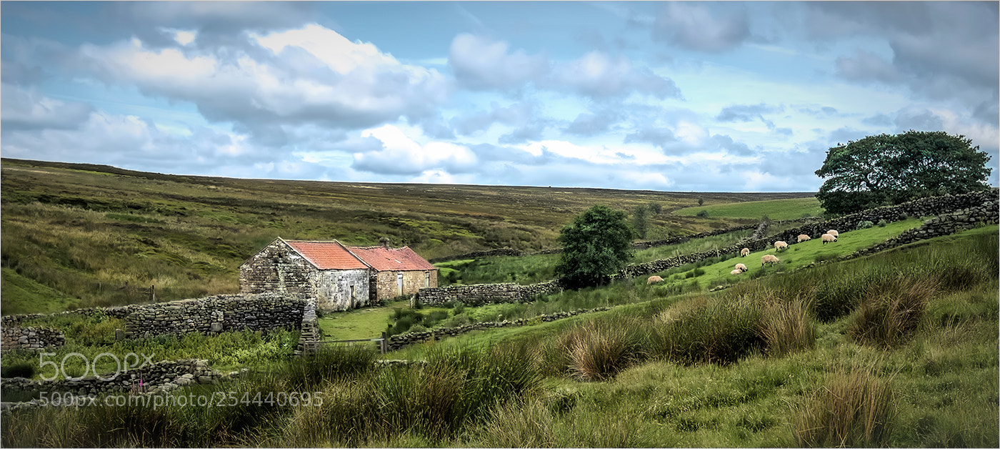 Fujifilm X-T2 sample photo. Shepherds retreat photography