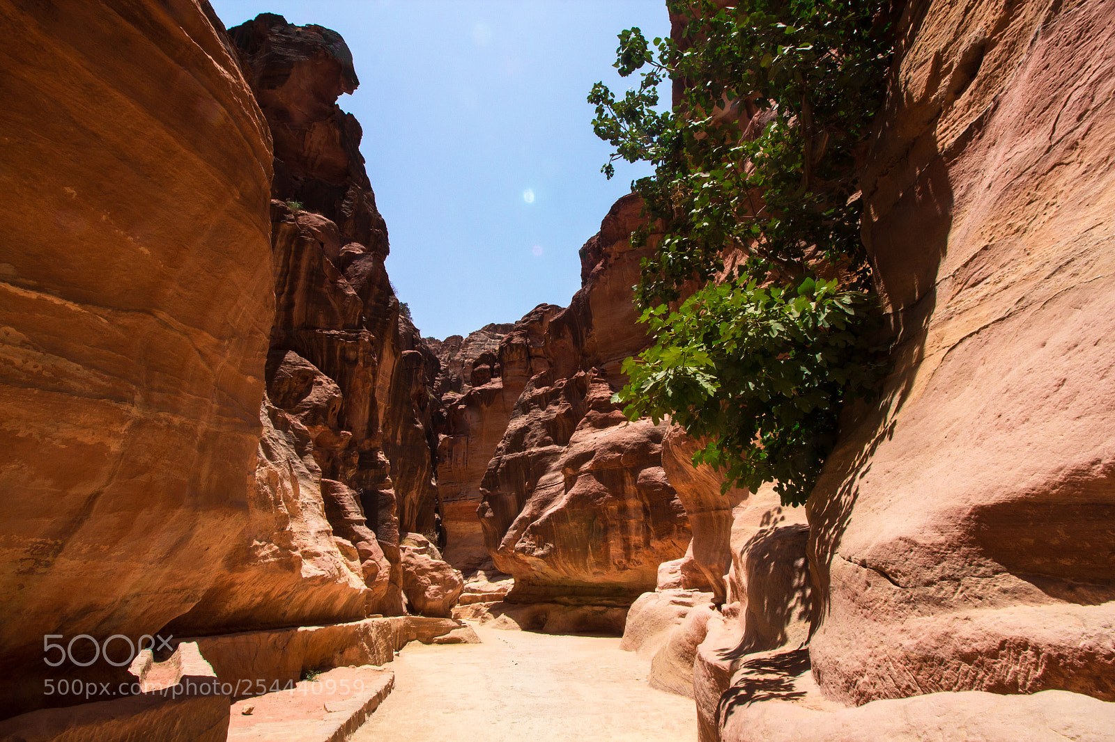 Canon EOS 600D (Rebel EOS T3i / EOS Kiss X5) sample photo. Petra's landscape photography