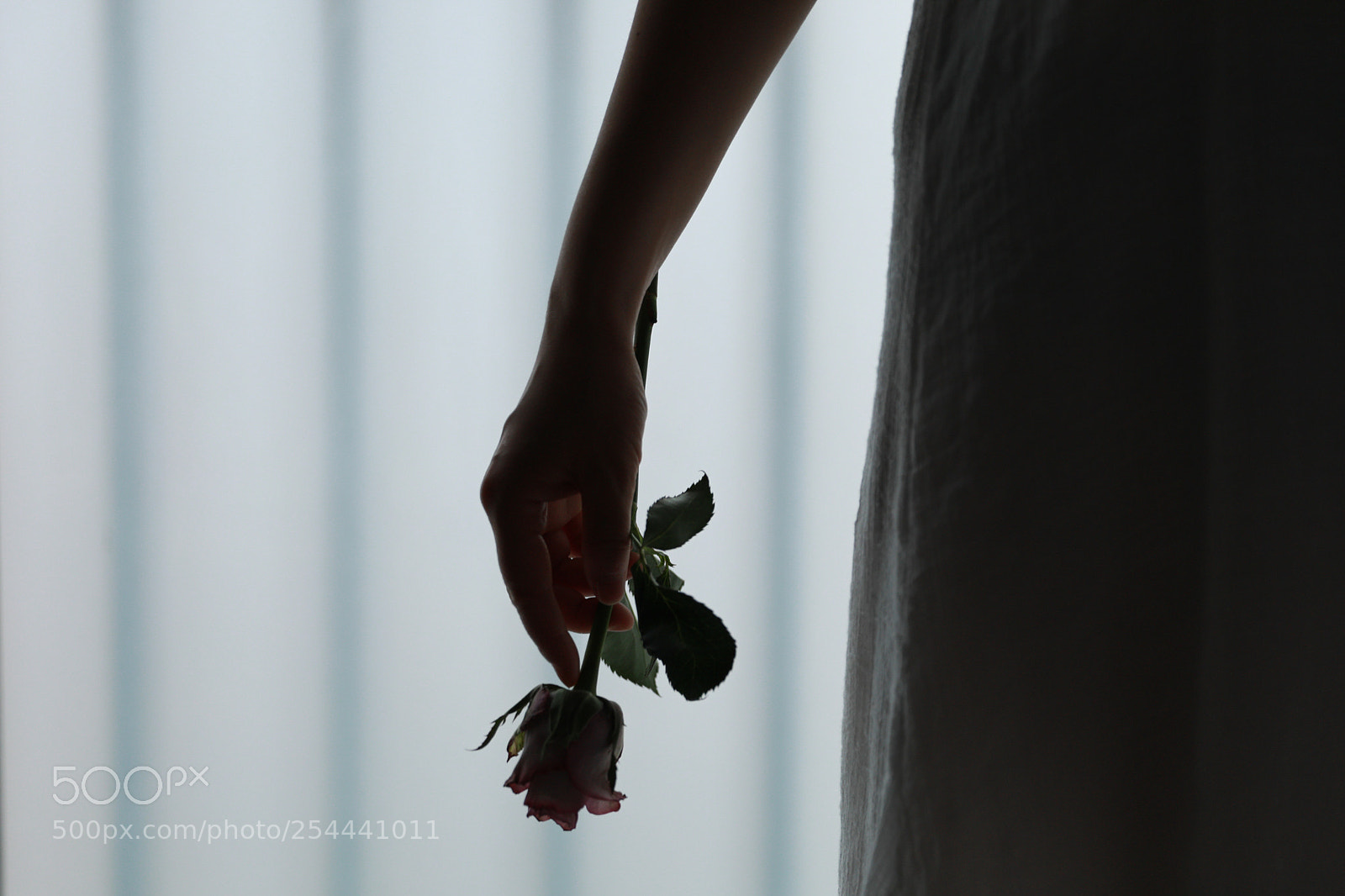 Canon EOS 5D Mark IV sample photo. Untitled photography
