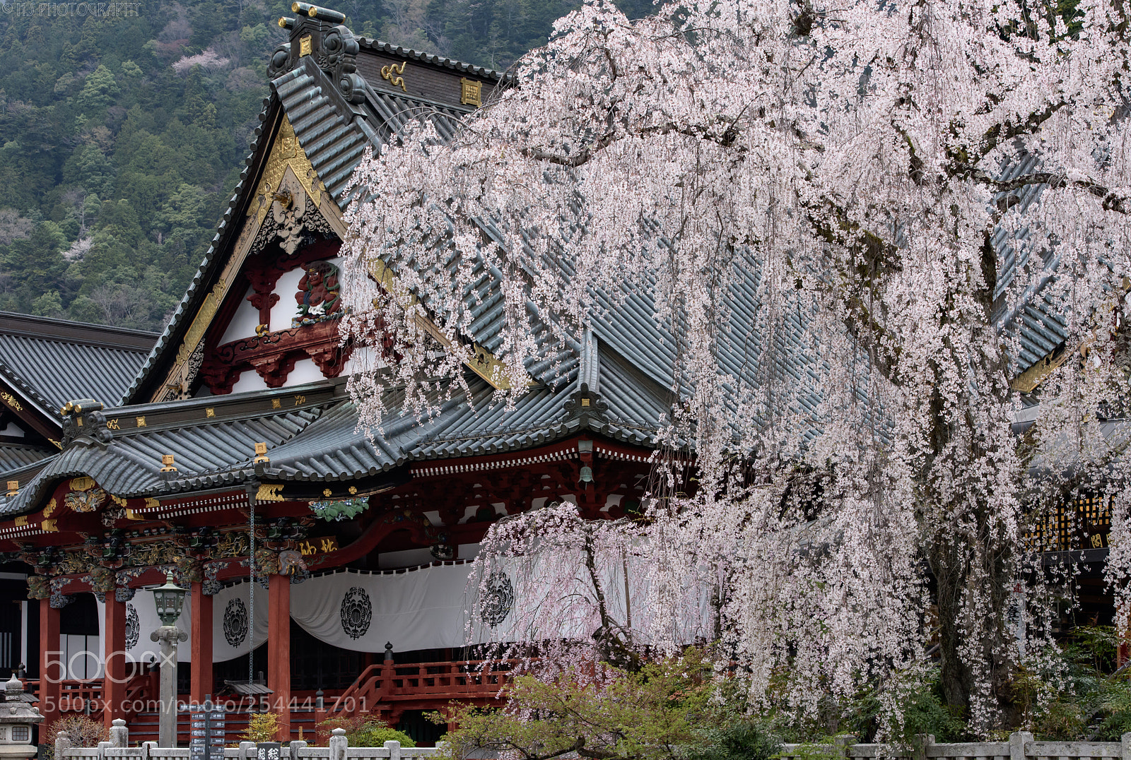 Nikon D810 sample photo. Ancient temple photography