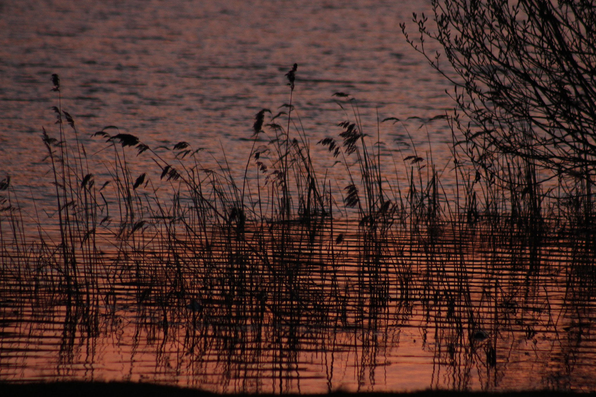 Canon EOS 700D (EOS Rebel T5i / EOS Kiss X7i) sample photo. Sunset on a lake photography