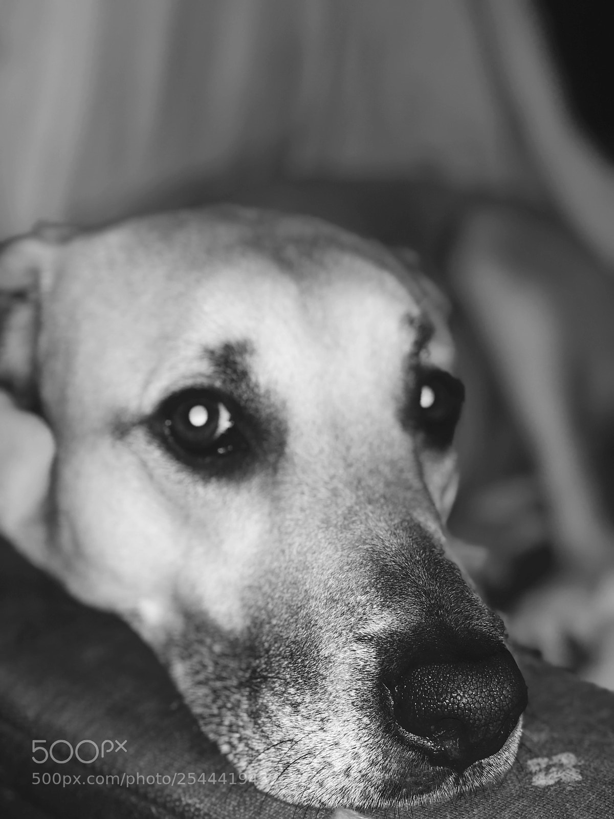 Apple iPhone X sample photo. Untitled photography