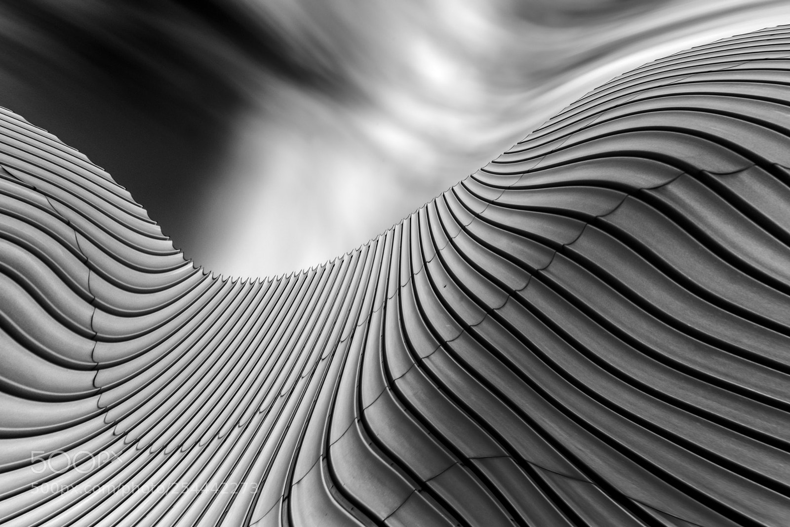 Nikon D800 sample photo. Fantasy with lines again photography