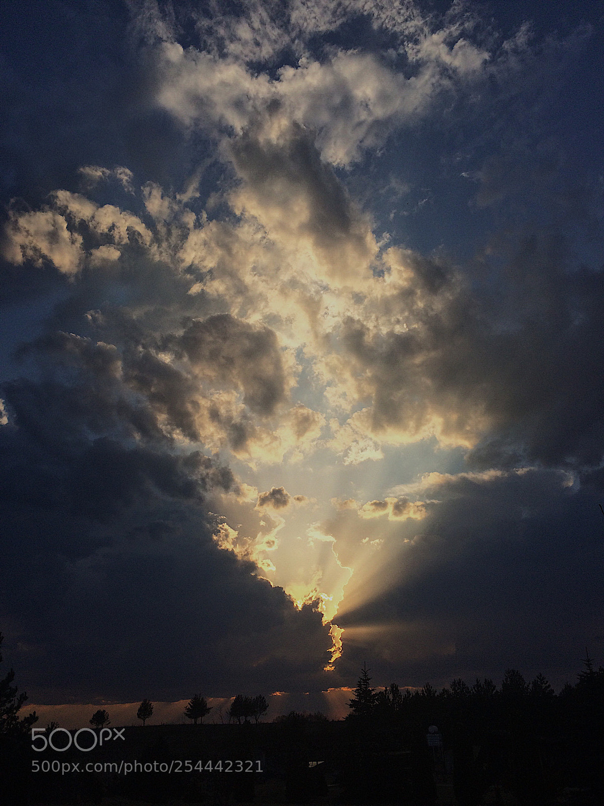 Apple iPhone 5s sample photo. Entrance to heaven  photography