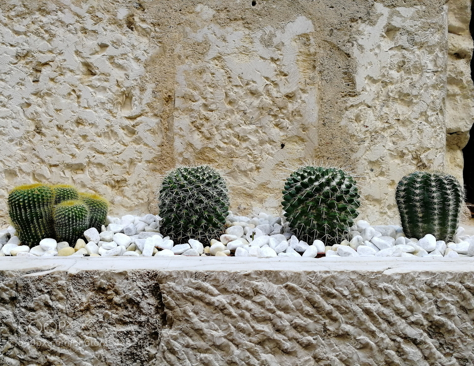 HUAWEI Honor 9 sample photo. Untitled photography