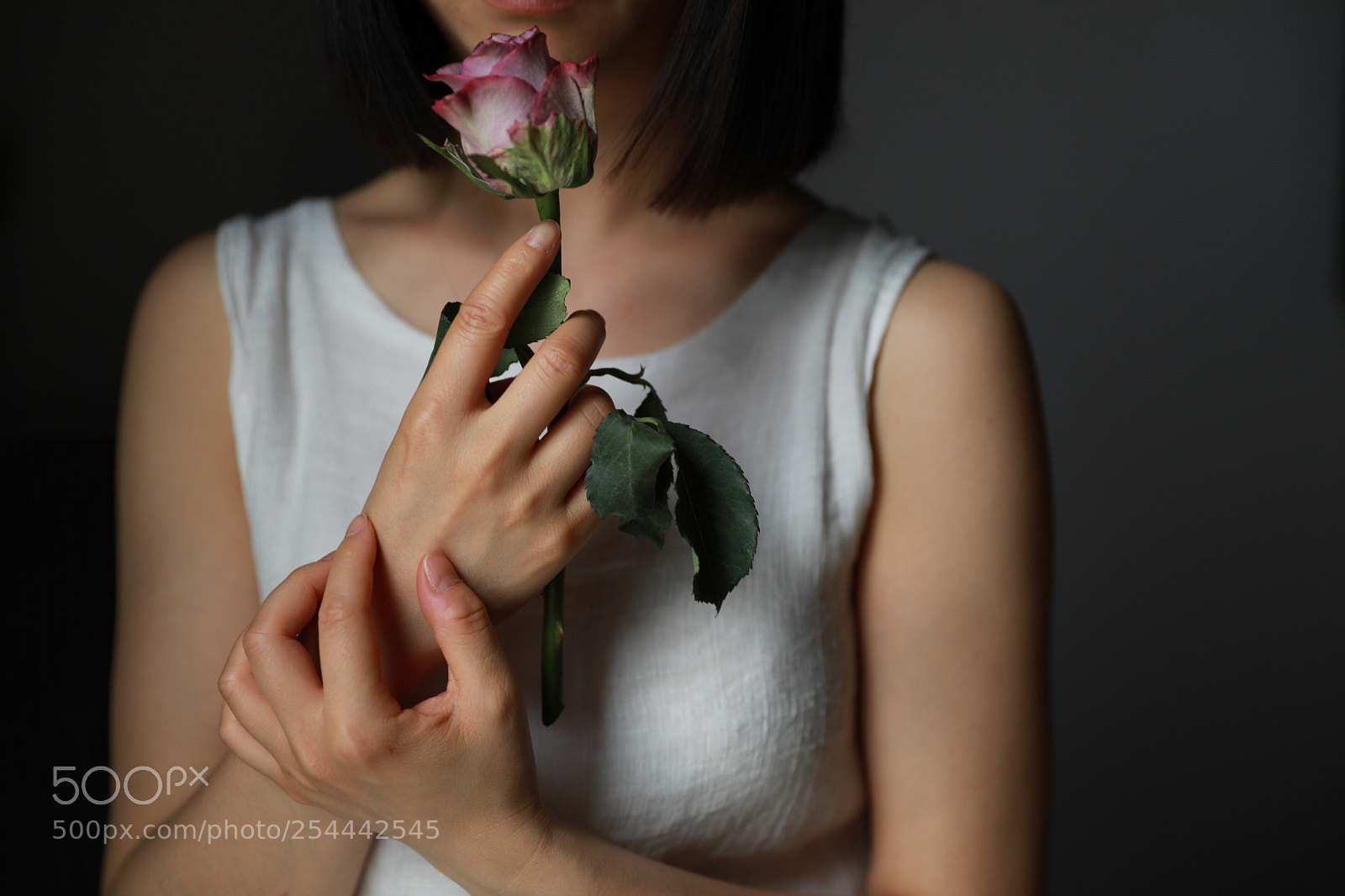 Canon EOS 5D Mark IV sample photo. Untitled photography