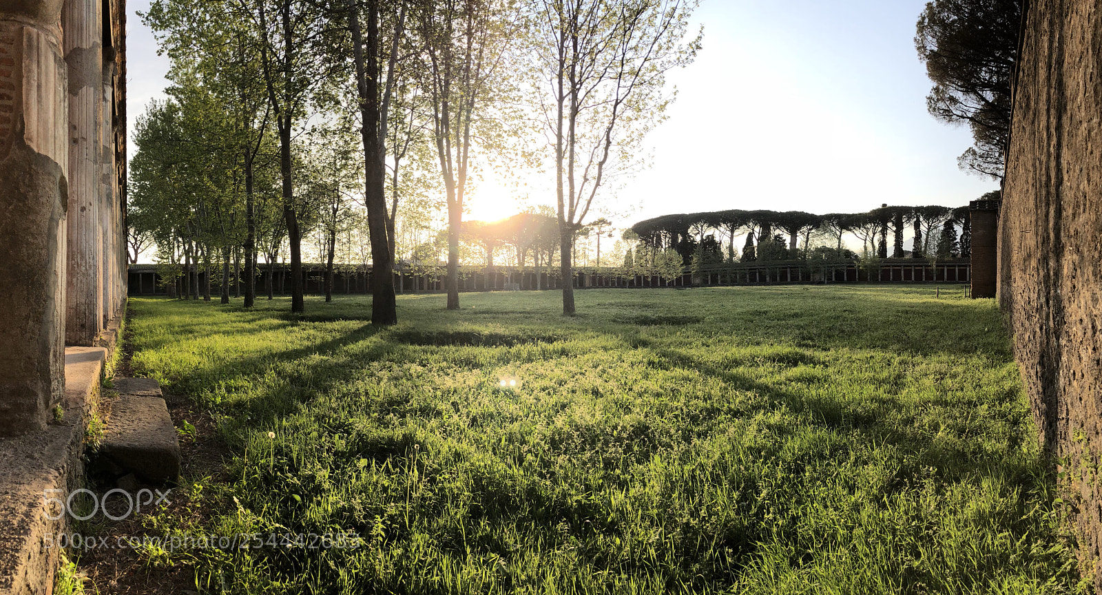 Apple iPhone X sample photo. Pompei garden photography