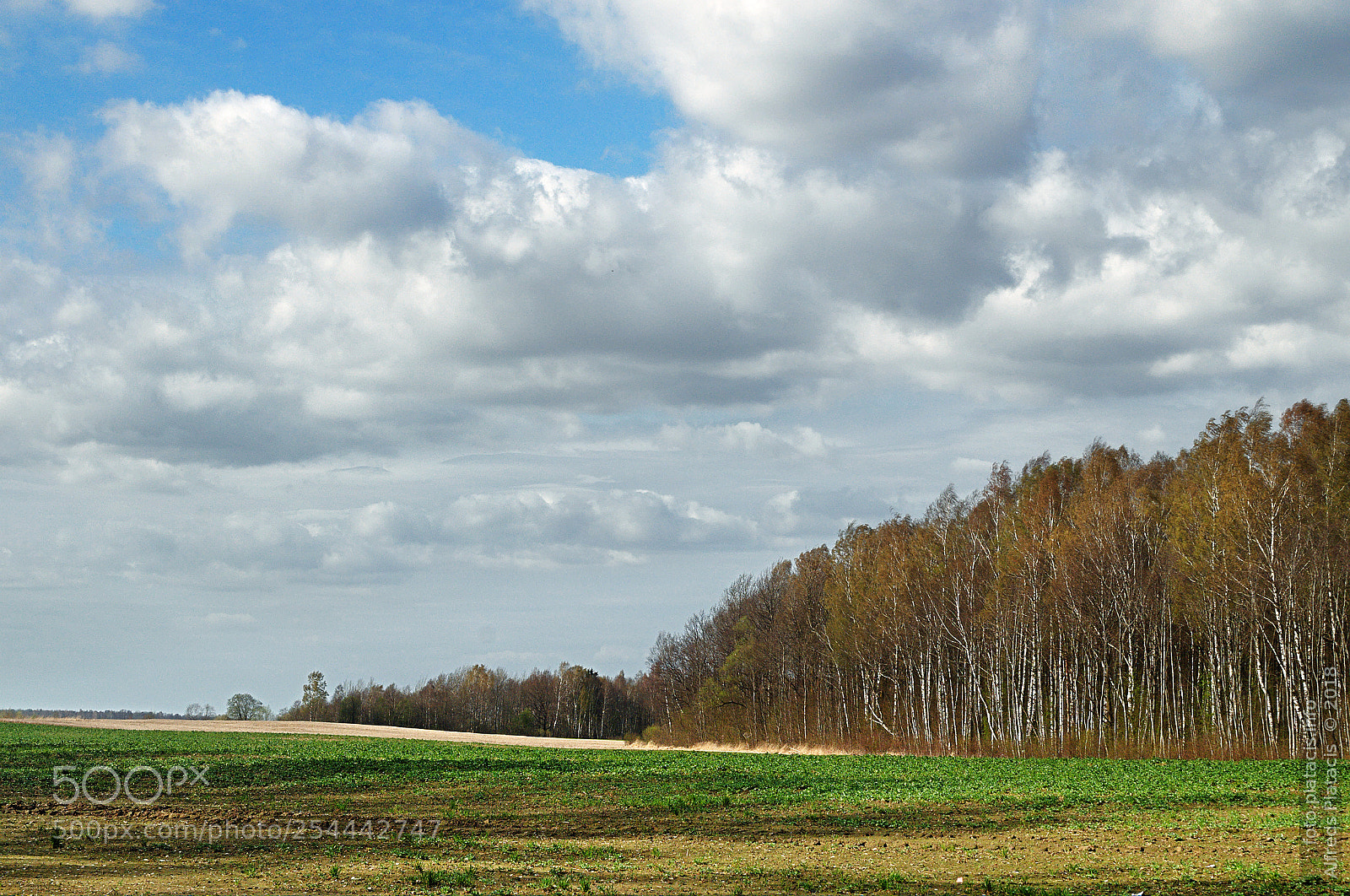 Nikon D300 sample photo. Spring in the village photography