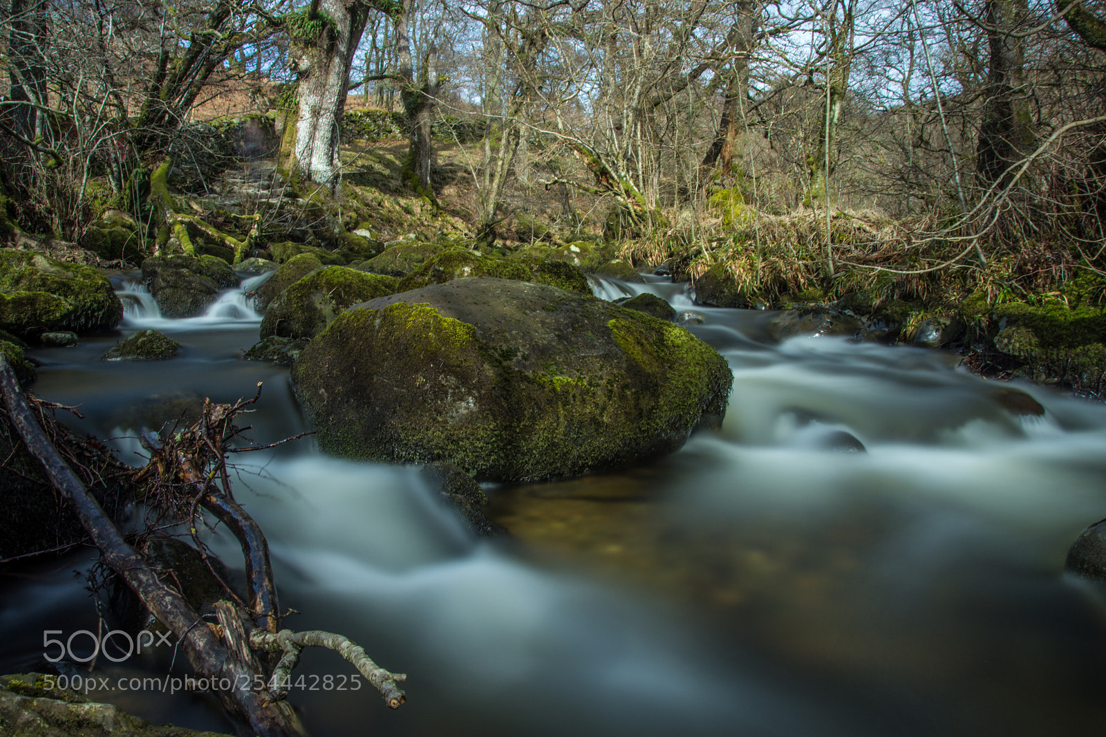 Nikon D7200 sample photo. Resting spot photography