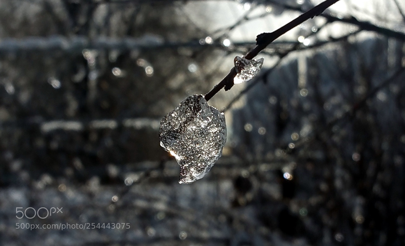 Samsung Galaxy Note4 sample photo. Frozen chip photography