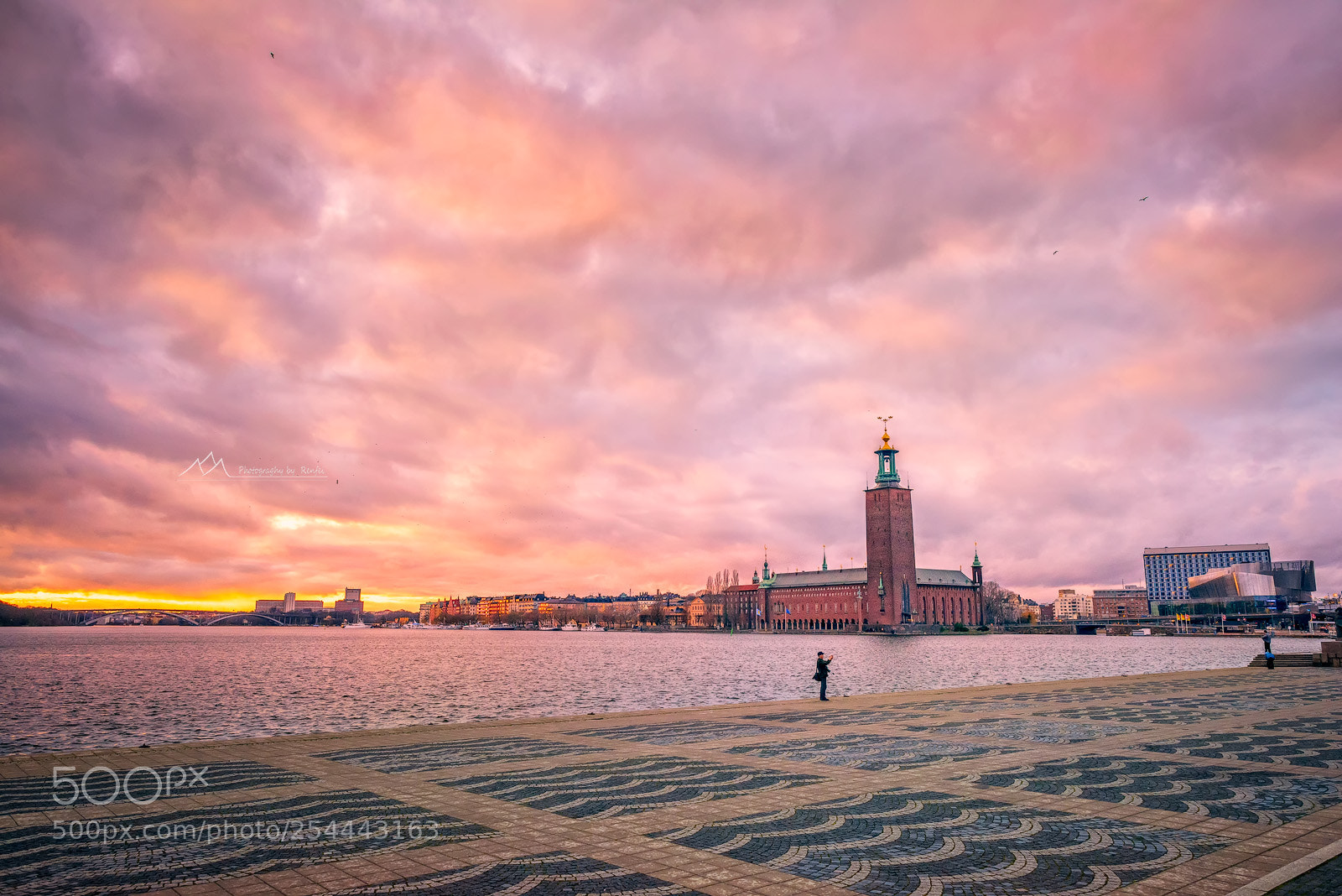 Nikon D800 sample photo. Stockholm 2014 photography