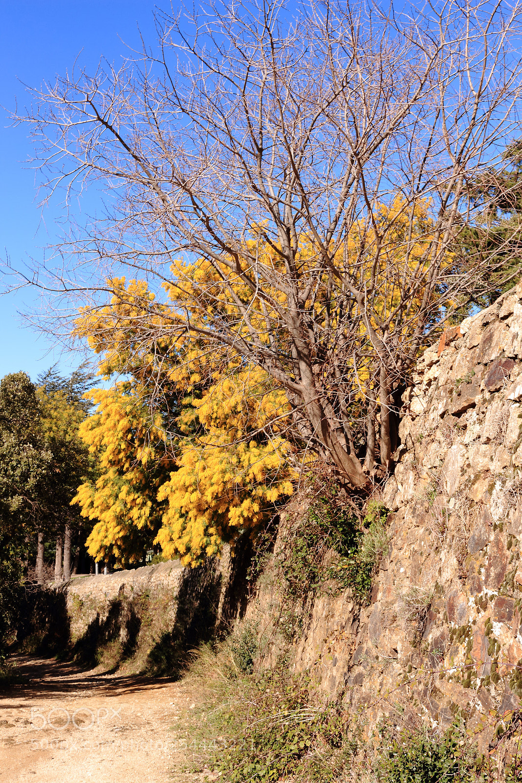 Canon EOS 700D (EOS Rebel T5i / EOS Kiss X7i) sample photo. Mur château valmy photography