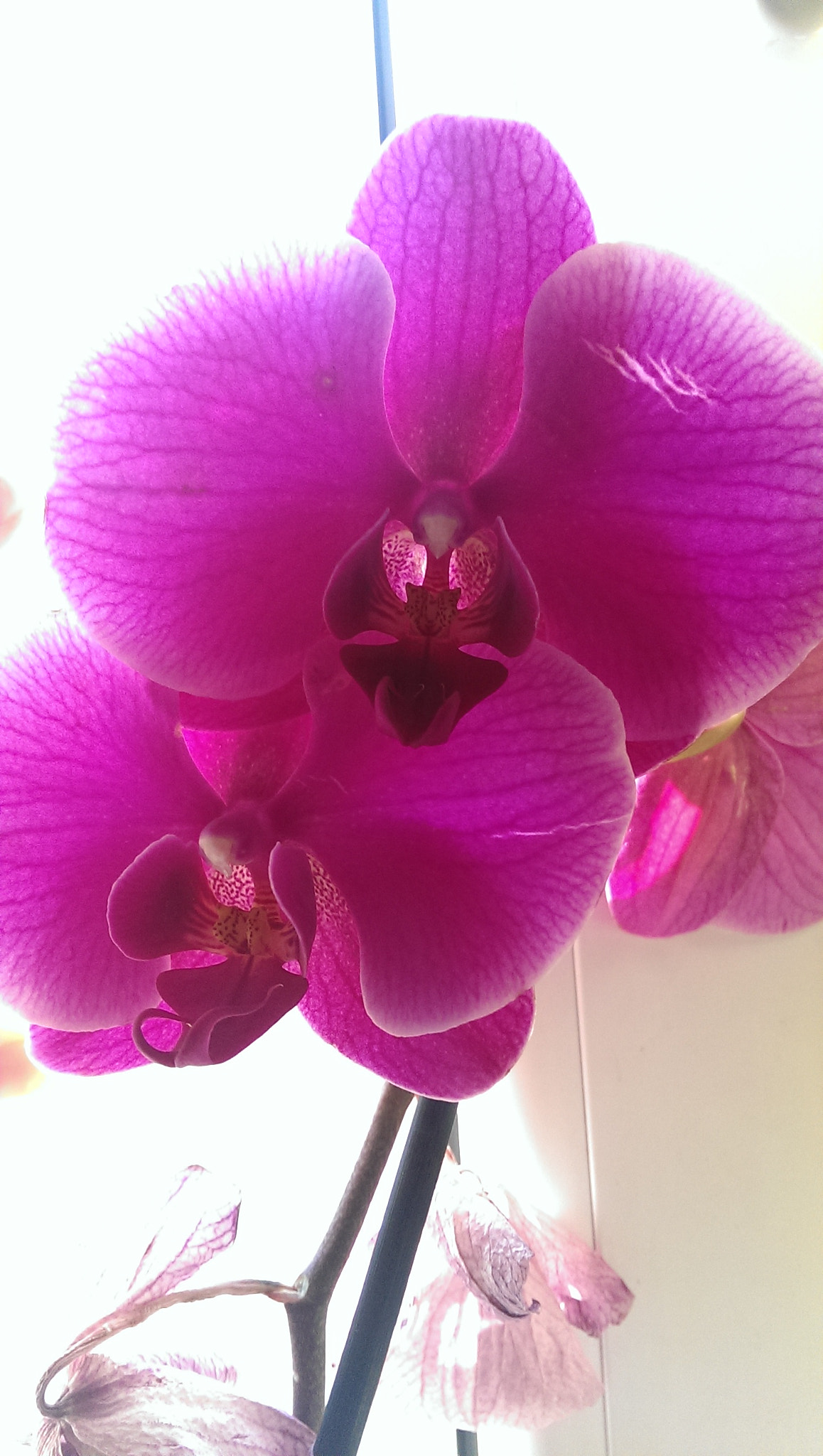 HTC ONE sample photo