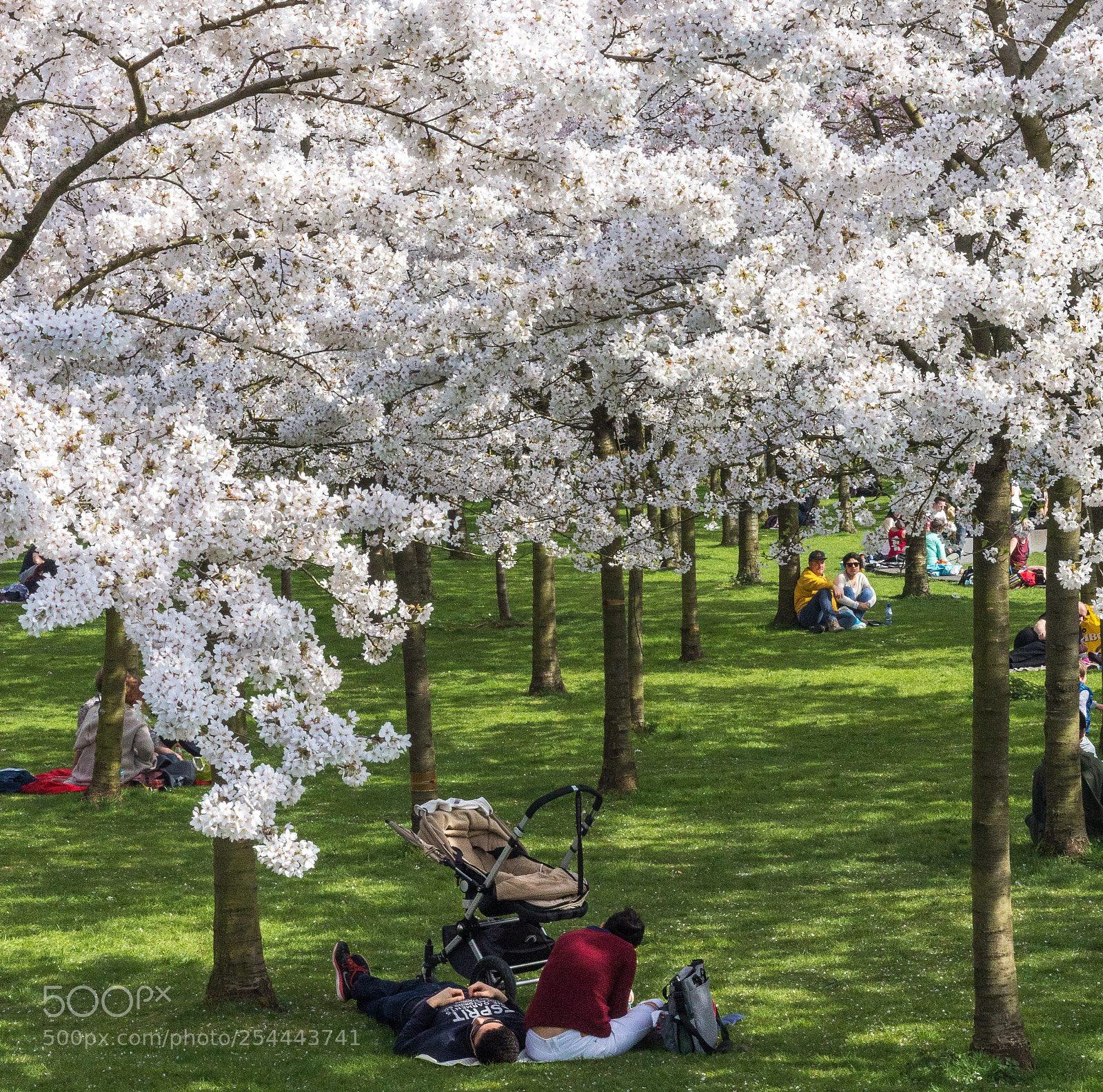 Canon EOS 700D (EOS Rebel T5i / EOS Kiss X7i) sample photo. Blossom park amsterdam photography